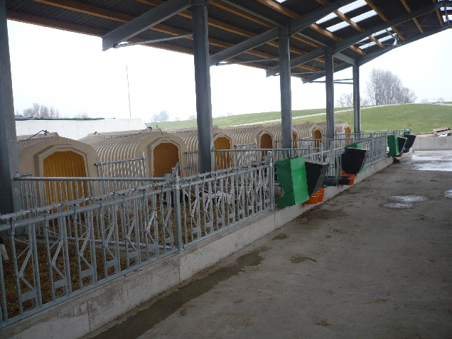 K�lberbereich mit Gruppenh�tten und Auslauf mit Sicherheits-Fre�gittern