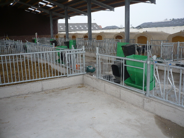 K�lberbereich mit Gruppenh�tten und Auslauf mit Sicherheits-Fre�gittern